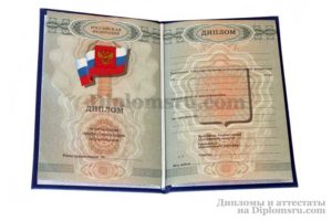 купить диплом пту в Южно-Сахалинске