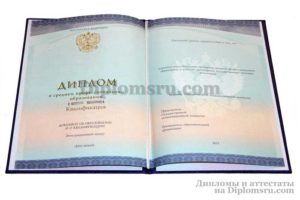 купить диплом техникума, колледжа в Южно-Сахалинске